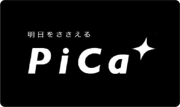 株式会社ピカコーポレーション